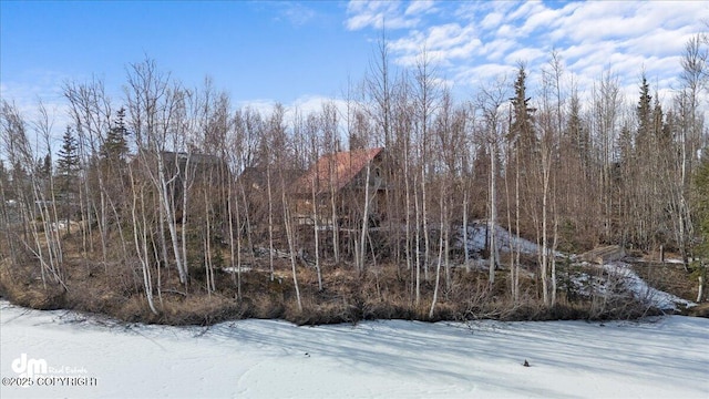 view of snowy landscape