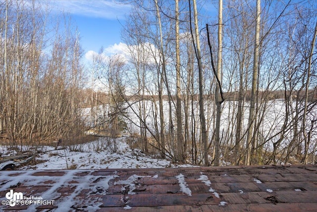 view of snowy view