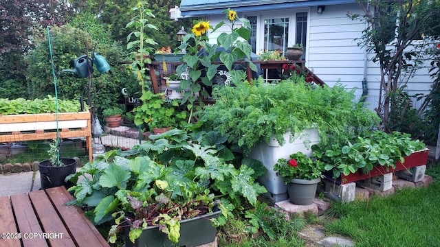 view of yard with a vegetable garden