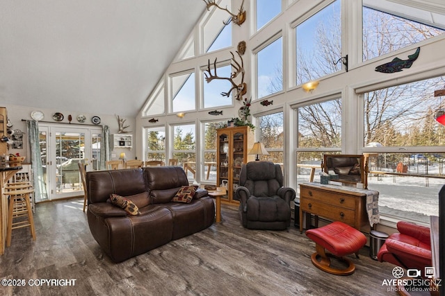 living area featuring high vaulted ceiling and wood finished floors