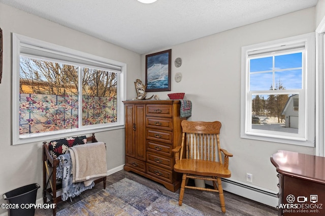 living area with a baseboard radiator, baseboards, a textured ceiling, and a healthy amount of sunlight