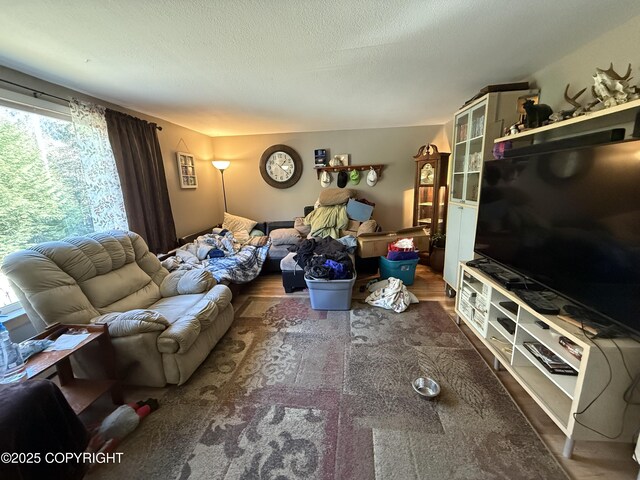 living area featuring a textured ceiling