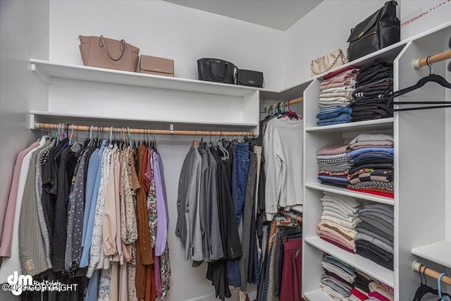 view of spacious closet