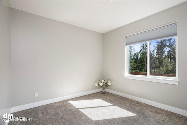 unfurnished room featuring carpet and baseboards