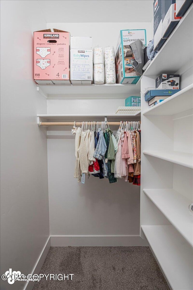 view of spacious closet