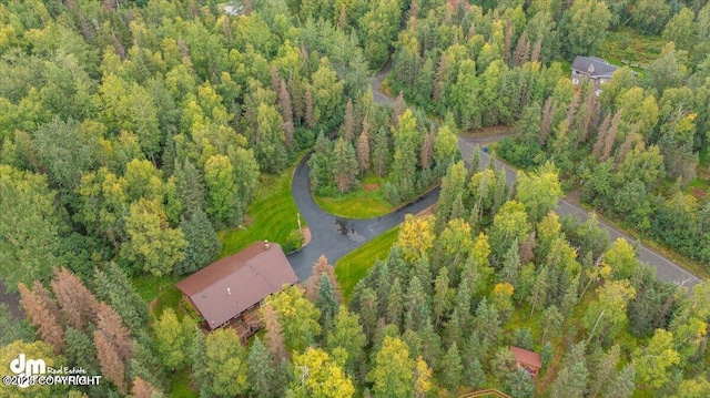 aerial view with a forest view