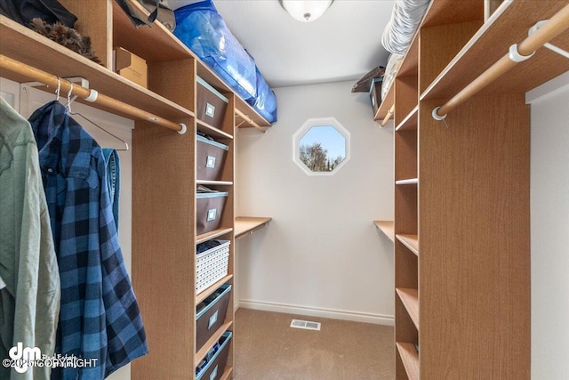 spacious closet featuring carpet floors and visible vents