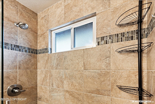 interior details with tiled shower