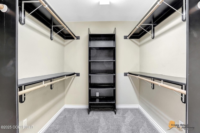 walk in closet with carpet floors