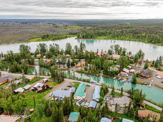 aerial view featuring a water view, a residential view, and a view of trees