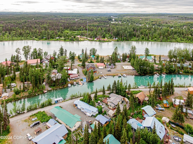 drone / aerial view featuring a water view and a forest view