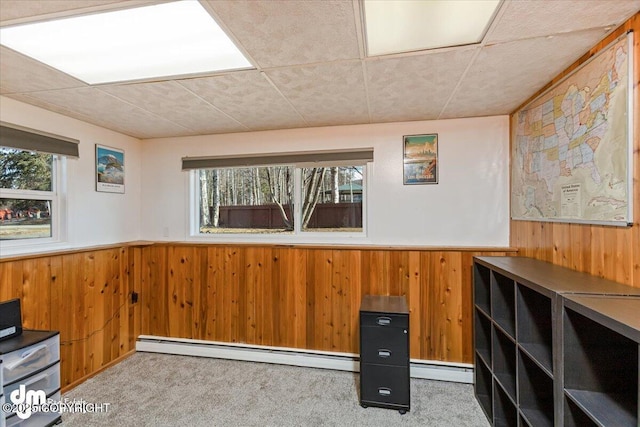 interior space with wainscoting, a healthy amount of sunlight, and carpet