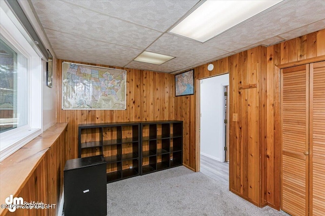 interior space featuring wood walls and carpet floors