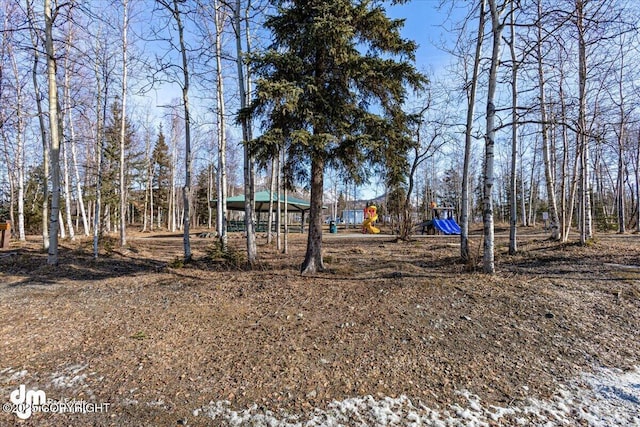 view of yard featuring playground community