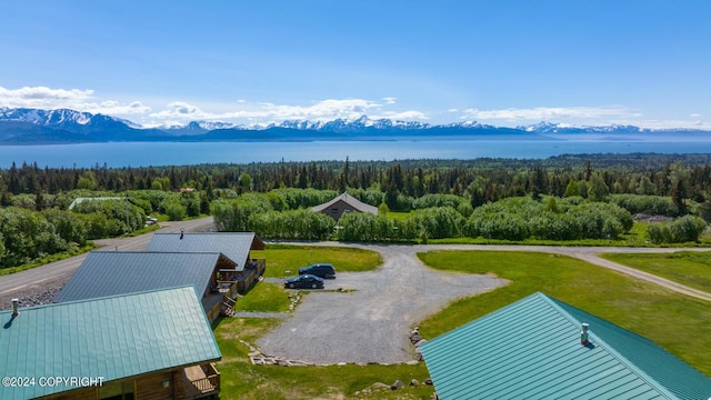 birds eye view of property featuring a mountain view and a forest view