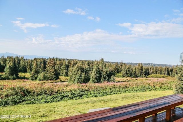 view of nature with a wooded view