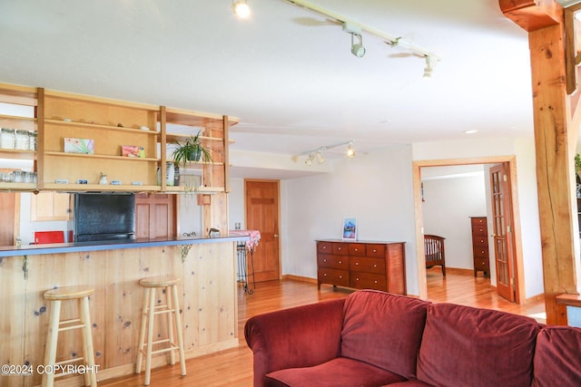 living area featuring rail lighting, light wood-style flooring, and baseboards