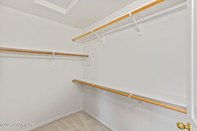 spacious closet featuring light colored carpet