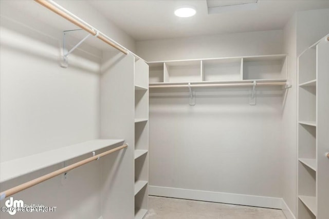 view of spacious closet