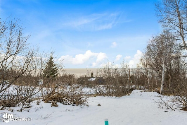 view of yard covered in snow