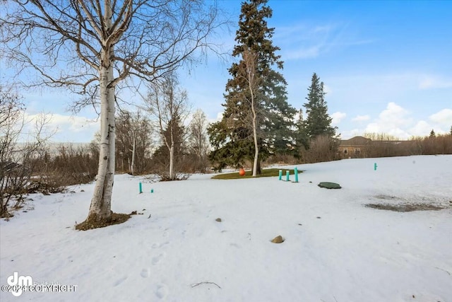 view of snowy yard