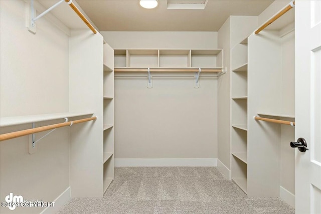 spacious closet with carpet flooring