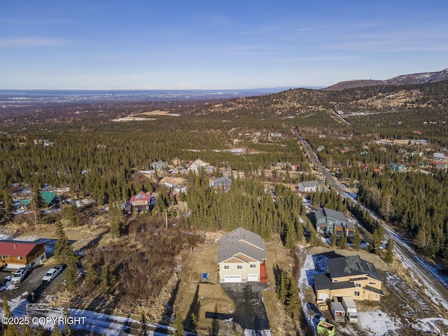 aerial view with a mountain view