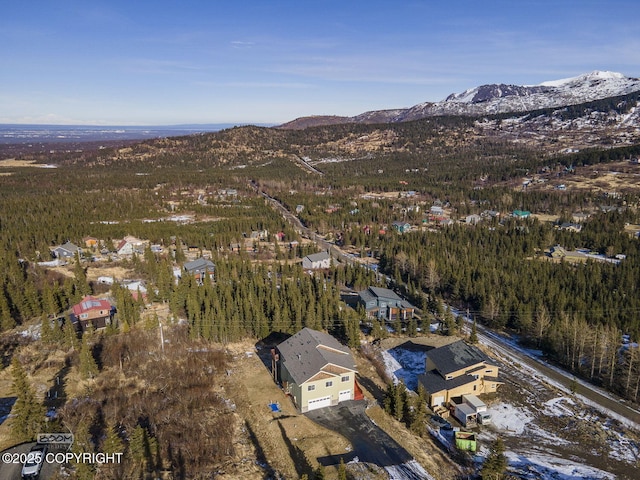 birds eye view of property featuring a mountain view