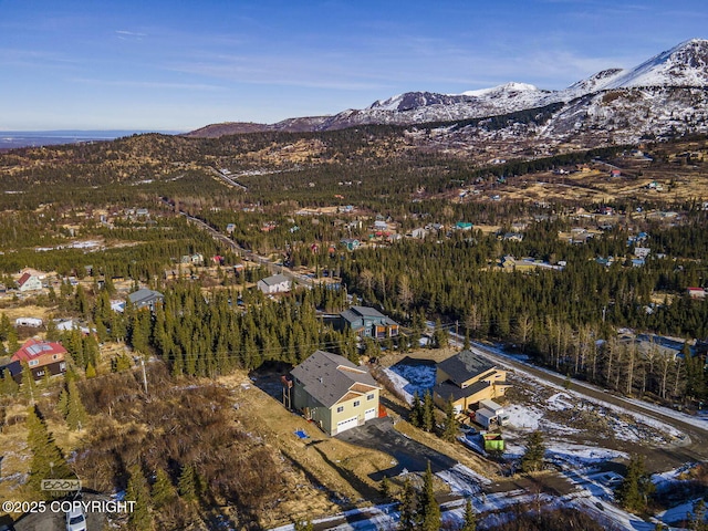 birds eye view of property featuring a mountain view