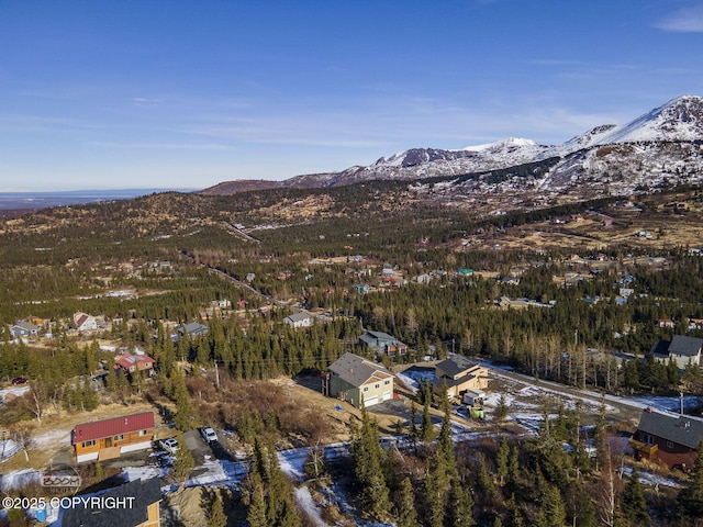 drone / aerial view featuring a mountain view