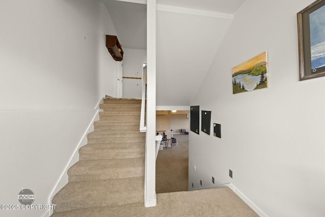 staircase featuring baseboards and carpet floors