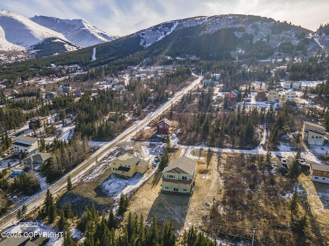 drone / aerial view featuring a mountain view