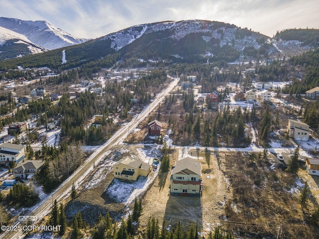 birds eye view of property featuring a mountain view