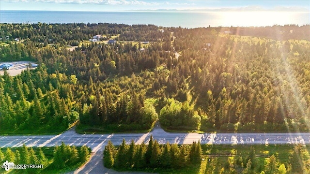 33045 Sterling Hwy, Anchor Point, AK 99556