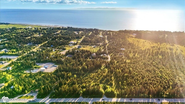 33045 Sterling Hwy, Anchor Point, AK 99556