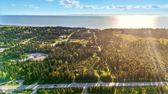 33045 Sterling Hwy, Anchor Point, AK 99556