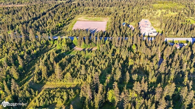 33045 Sterling Hwy, Anchor Point, AK 99556