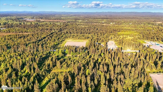 33045 Sterling Hwy, Anchor Point, AK 99556
