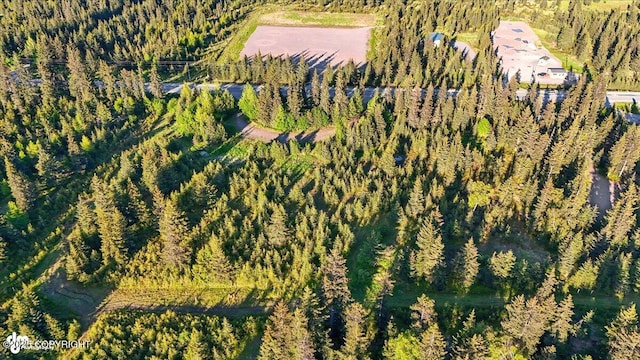 33045 Sterling Hwy, Anchor Point, AK 99556