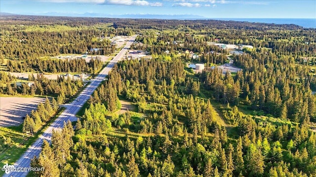 33045 Sterling Hwy, Anchor Point, AK 99556