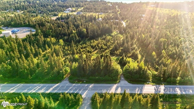 33045 Sterling Hwy, Anchor Point, AK 99556