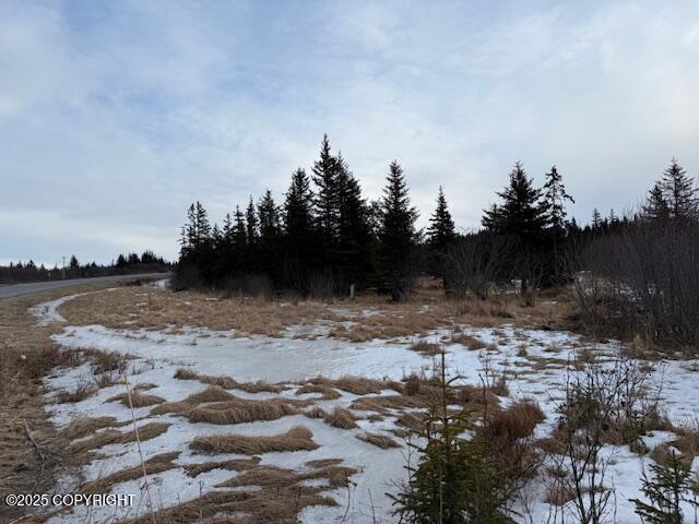 Listing photo 3 for 26220 Sterling Hwy, Anchor Point AK 99556