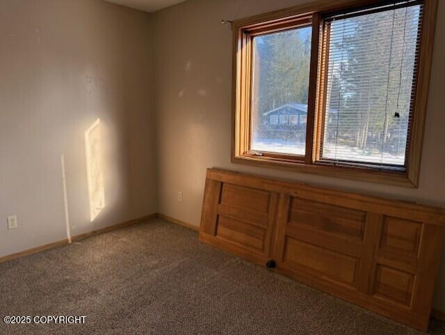 carpeted empty room with baseboards