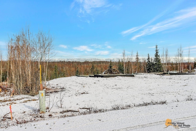 yard covered in snow with a wooded view