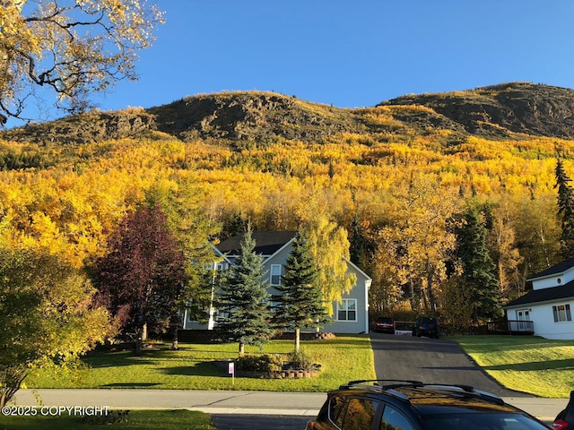 20420 Williamsburg Dr, Eagle River, AK 99577 - mountain view with a heavily wooded area