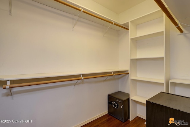 spacious closet featuring dark wood-style floors