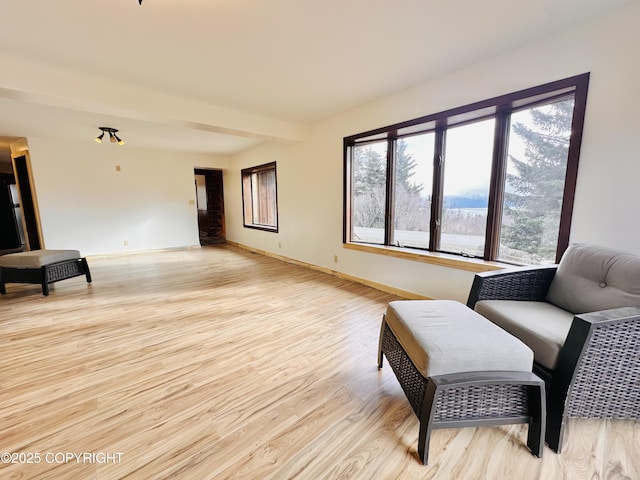 living area featuring baseboards and light wood-style floors