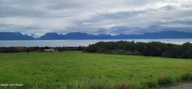 Listing photo 2 for 40444 Summer Star Rd, Homer AK 99603