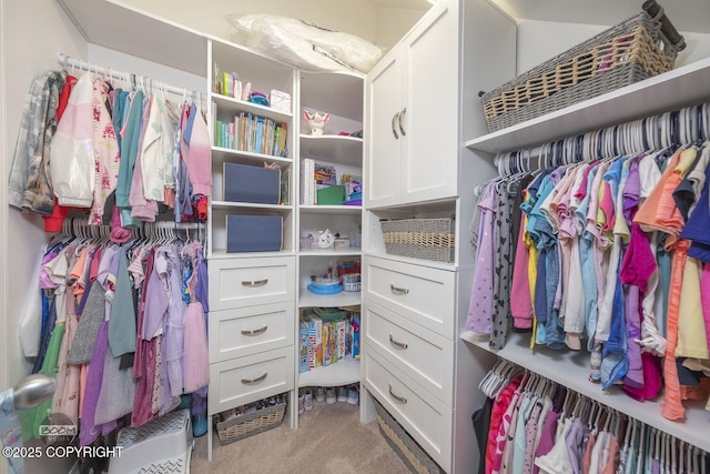 spacious closet featuring carpet floors