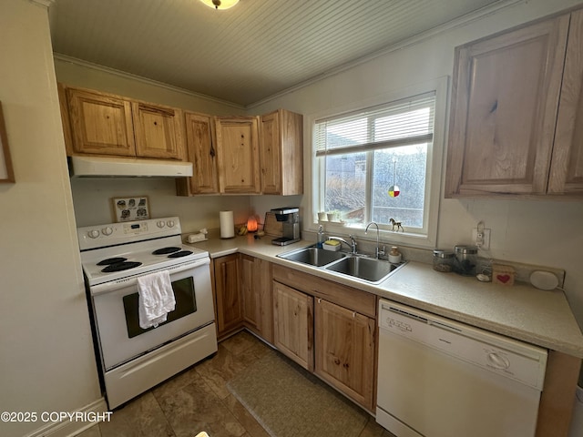 kitchen featuring white appliances, light countertops, crown molding, under cabinet range hood, and a sink